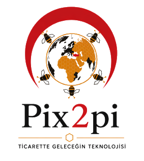 Pix2pi Ana Logo